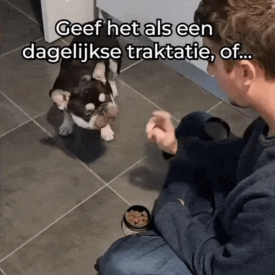 Hoe DogSuppy Anti-Jeuk werkt