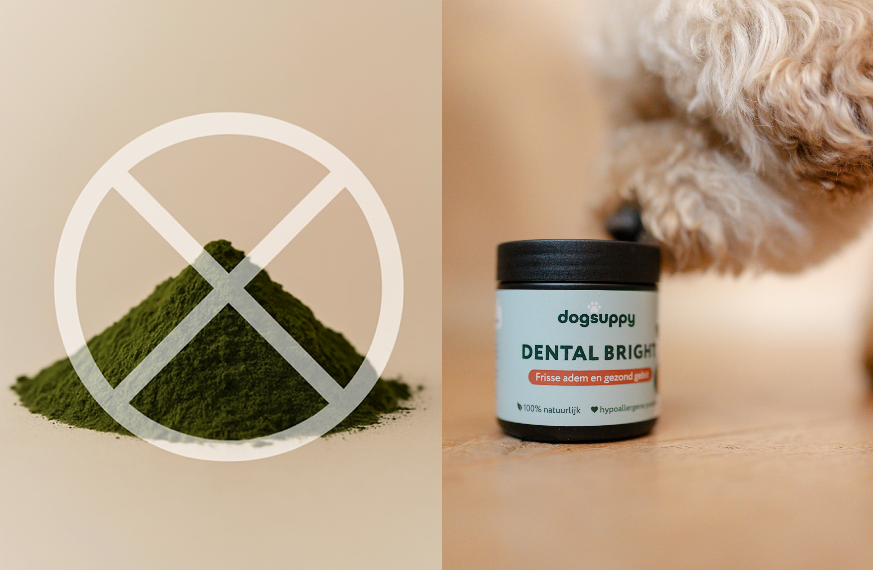 A split image showing a crossed-out pile of green powder and a dog sniffing a jar of dog treats.