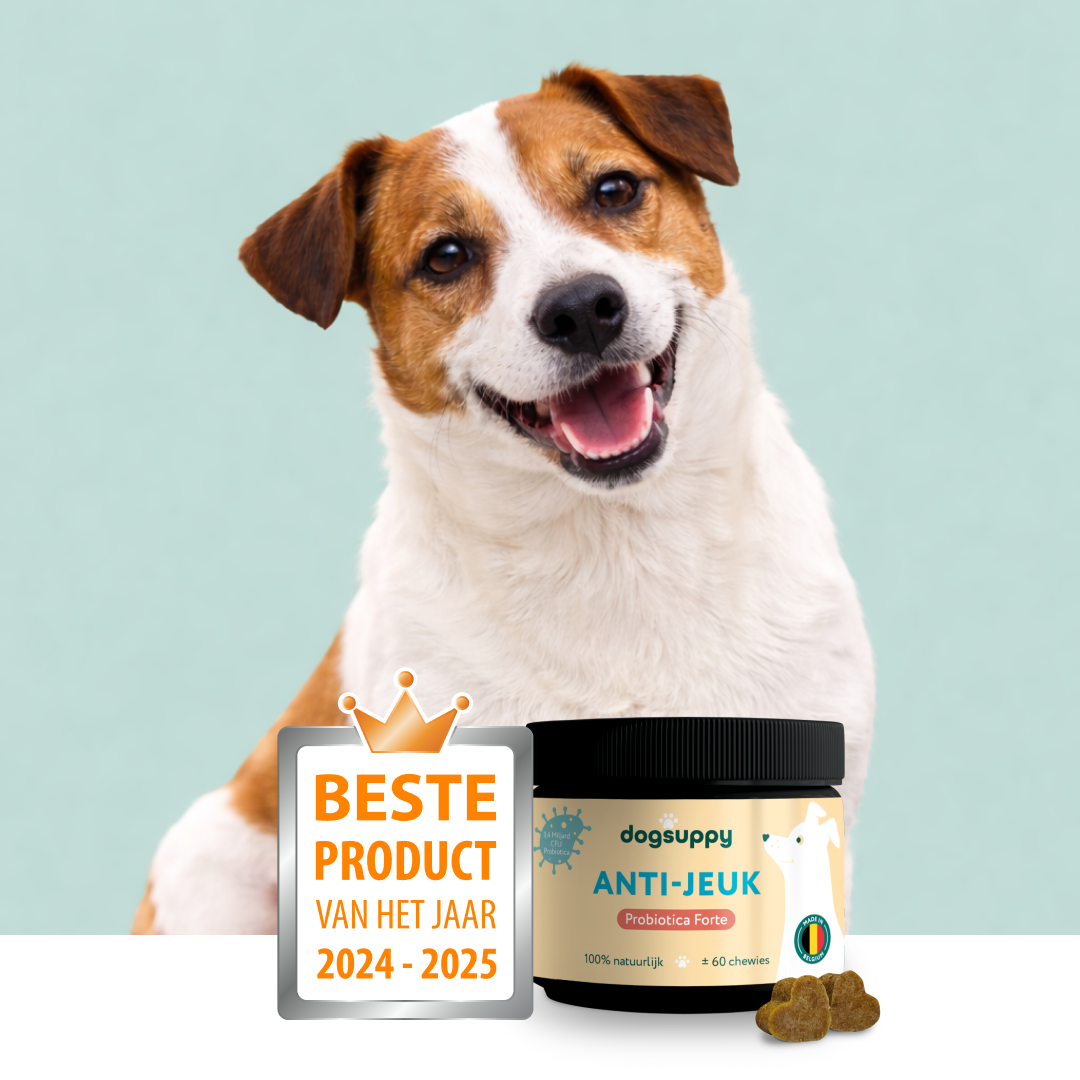 A smiling Jack Russell Terrier behind a tub of Dogsuppy Anti-Jeuk supplements and an award badge.