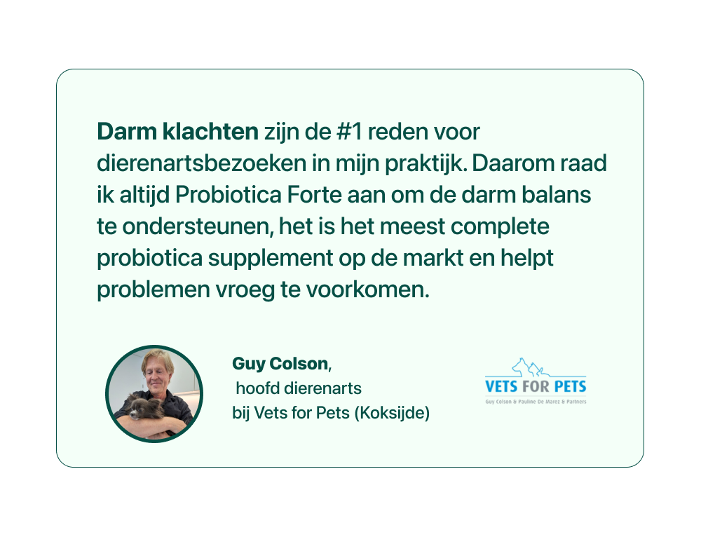 Text in Dutch about probiotics with a photo of a person holding a cat.