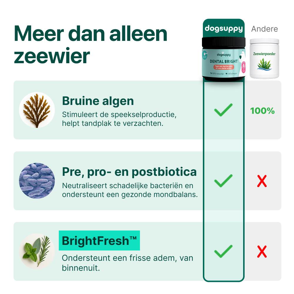 A product comparison chart in Dutch for dogsuppy Dental Bright against a generic seaweed powder, highlighting its ingredients.