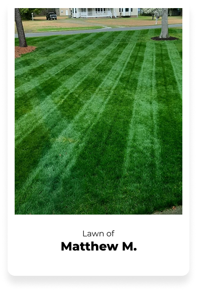 Well-manicured lawn with striped mowing pattern and trees in the background.