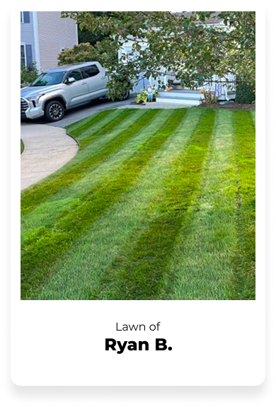 Well-manicured lawn with striped pattern next to a driveway and parked car.