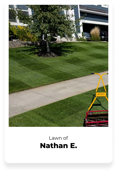 Freshly mowed lawn with a manual lawnmower on a sunny day.