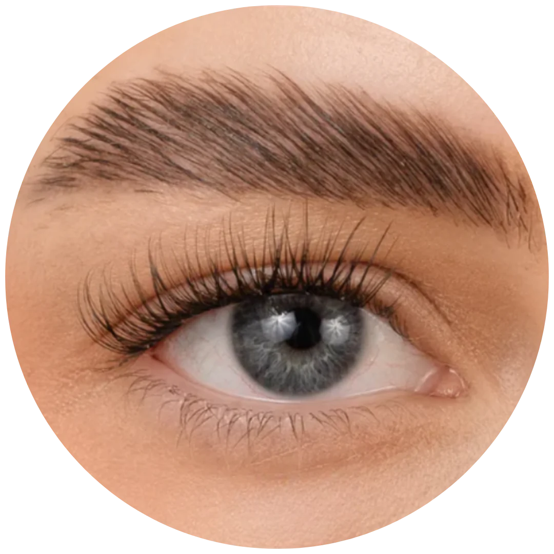 Close-up of a human eye with thick eyebrow and long eyelashes.