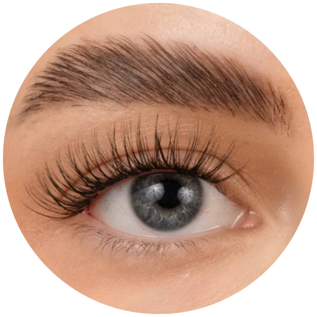 Close-up of a human eye with long eyelashes and well-groomed eyebrow.