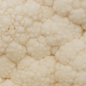 Citicoline (Cognizin®)