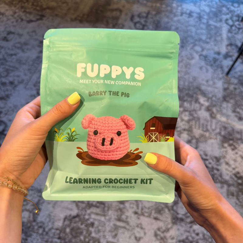 Person holding a crochet kit package with a pink pig design on it.