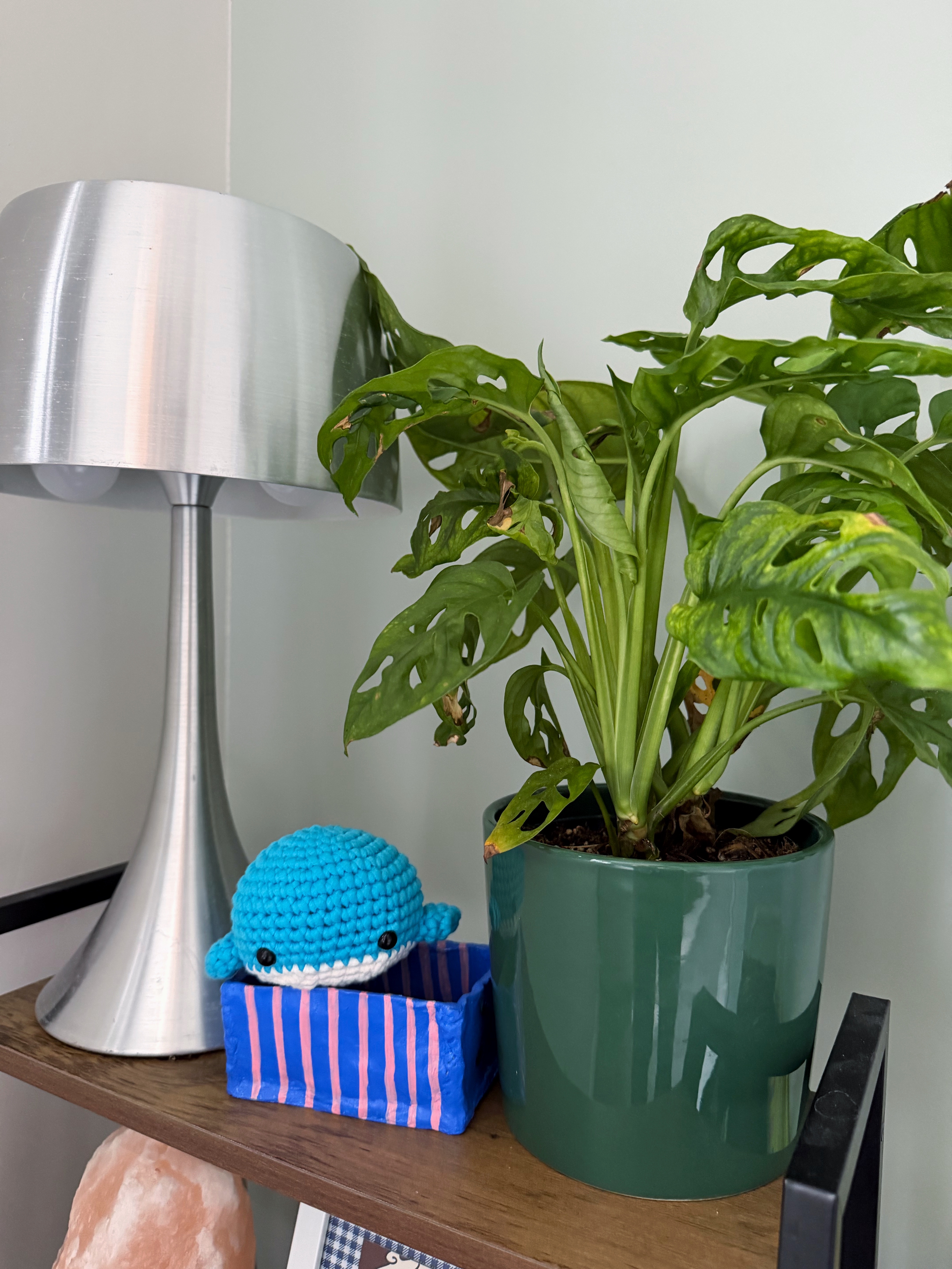A crocheted blue whale sits next to a potted Monstera adansonii and a silver lamp on a shelf.