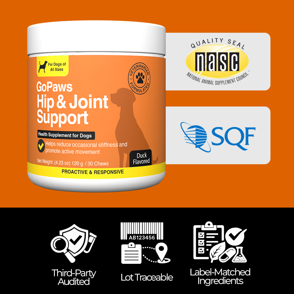 A jar of GoPaws Hip & Joint Support for dogs with certifications and quality icons displayed.