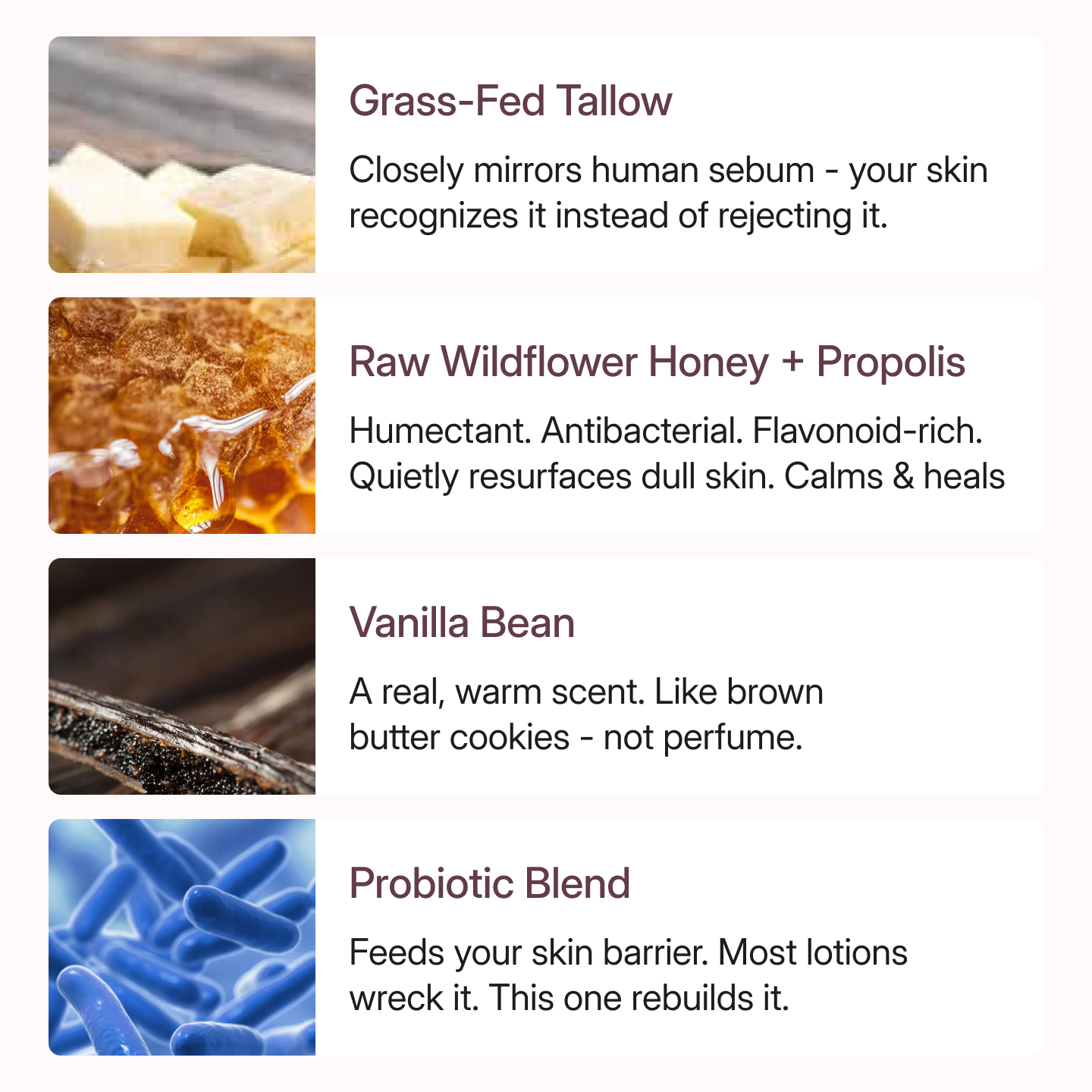 Infographic with images and descriptions of four ingredients: tallow, honey, vanilla bean, and a probiotic blend.