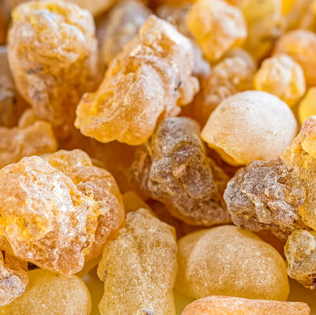 A close-up photograph of small, lumpy pieces of amber-colored resin.