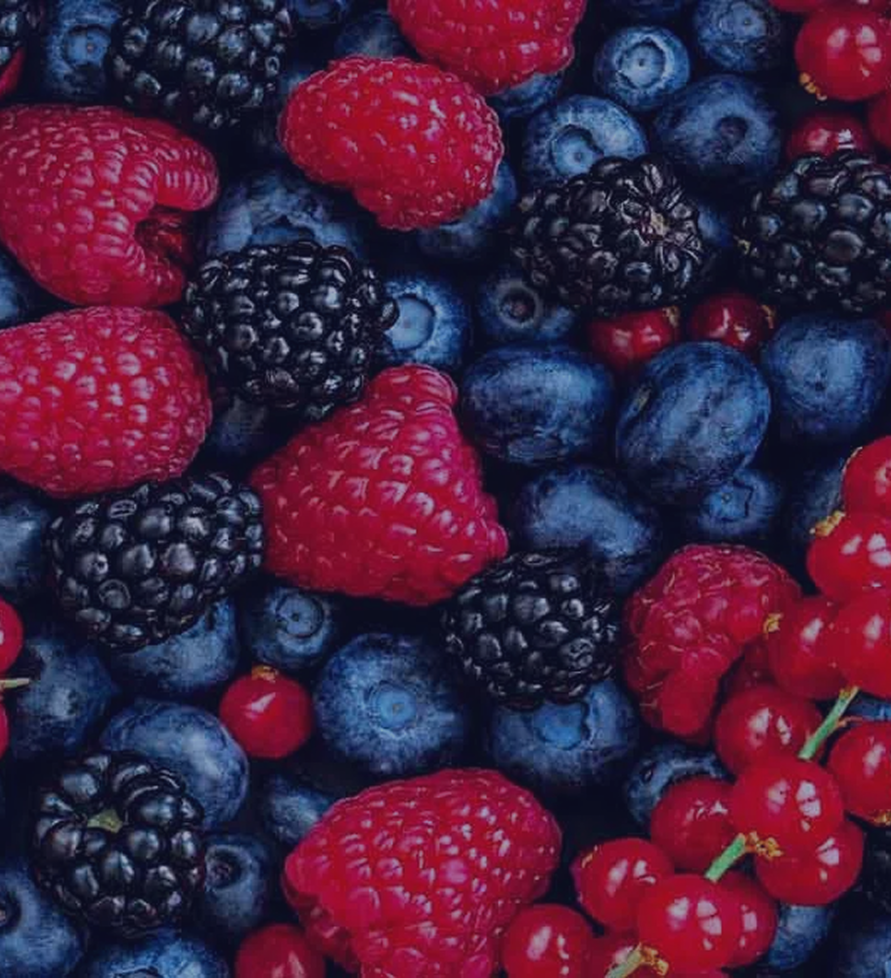 Assorted fresh berries including raspberries, blackberries, blueberries, and red currants.