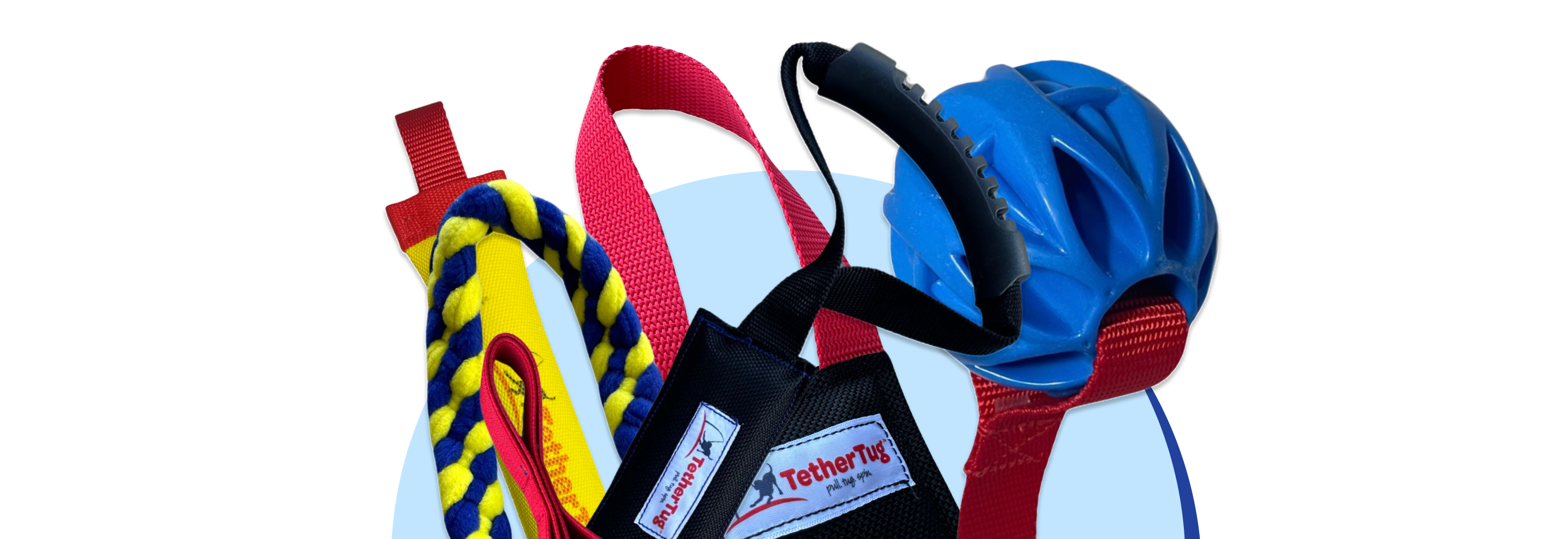Collection of dog toys, including a rope and blue toy, on a white background.
