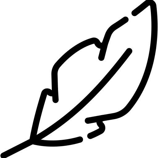 A black and white line drawing icon of a single feather on a white background.