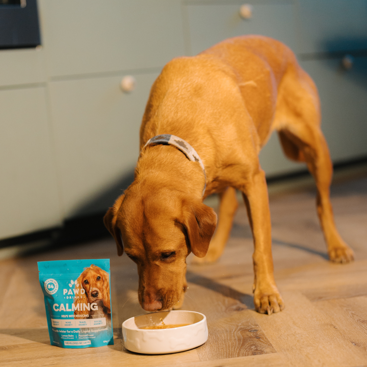 Dog drinking PAWD Calming powder mixed with water
