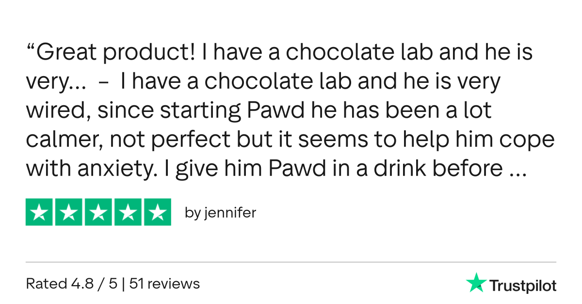 Review by jennifer