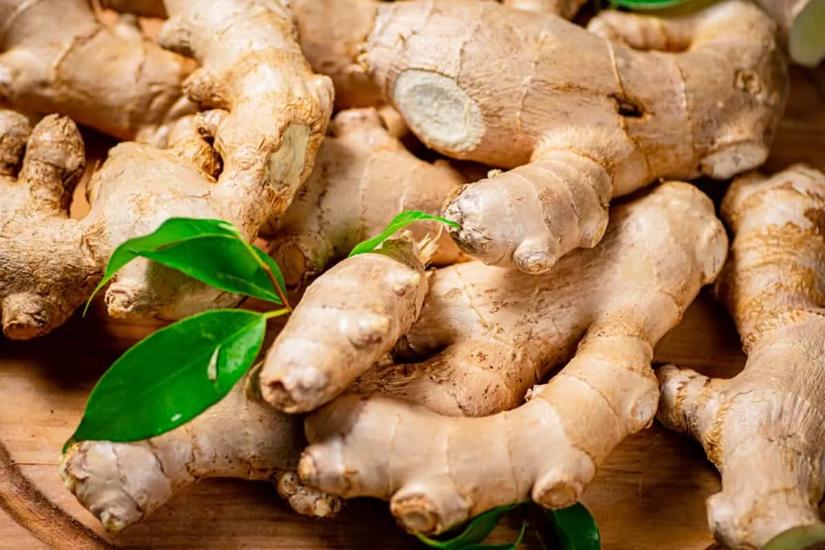 A close-up shot of several fresh ginger roots with a few green leaves on a wooden surface.