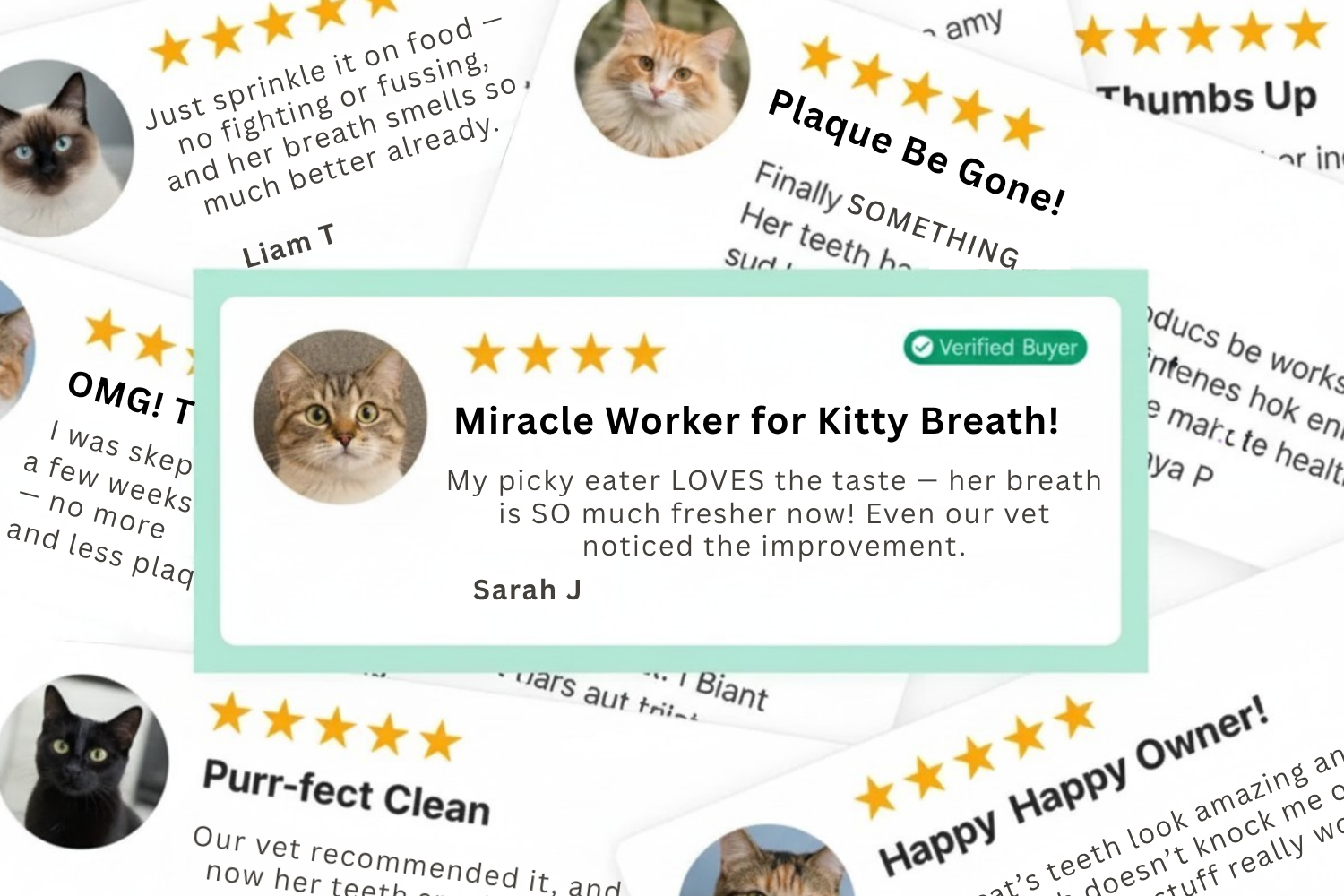Collage of cat review cards with stars and testimonials.