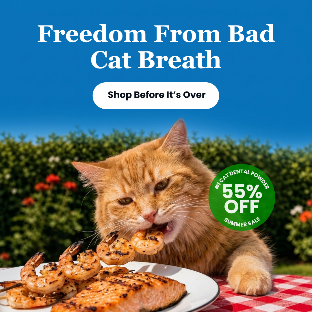 An orange cat eats grilled shrimp from a skewer at an outdoor picnic table.