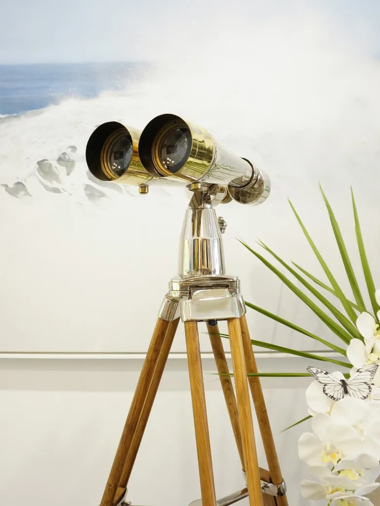 Large brass and chrome binoculars on a wooden tripod in front of a seascape painting and a plant.
