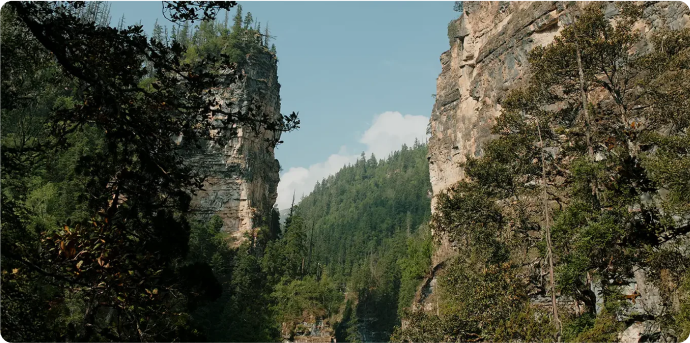 Tall rocky cliffs with dense green trees under a clear blue sky.