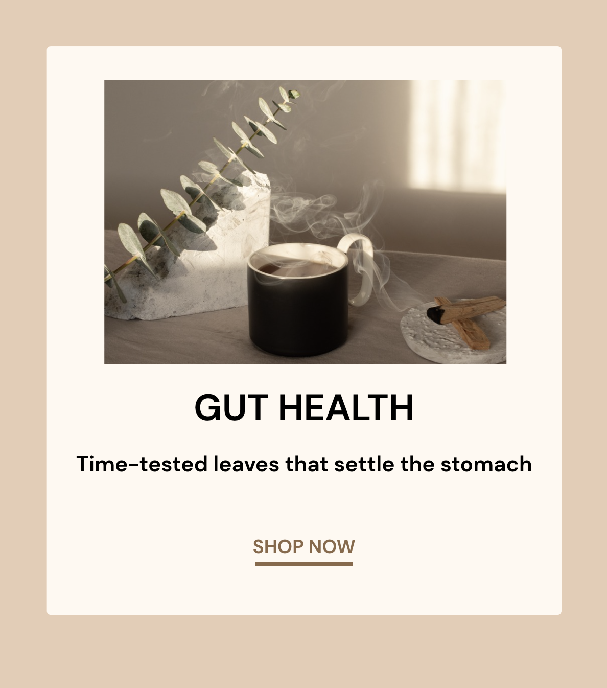 A steaming cup of tea with eucalyptus leaves and cinnamon sticks on a table.