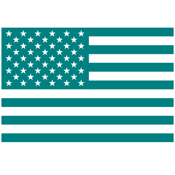 Teal and white American flag with stars and stripes.