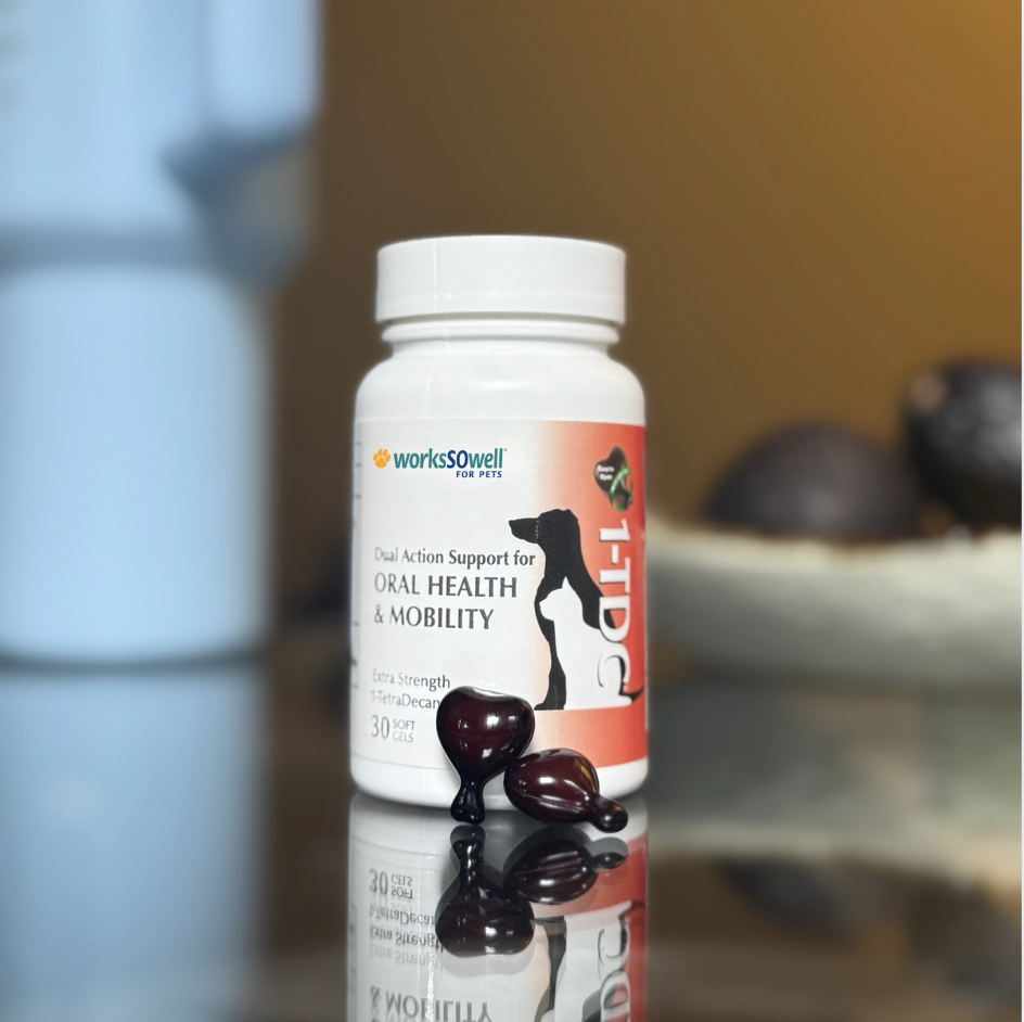 Pet supplement bottle labeled for oral health and mobility with soft gel capsules.