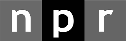 Three letters 'n', 'p', 'r' on black and gray blocks.