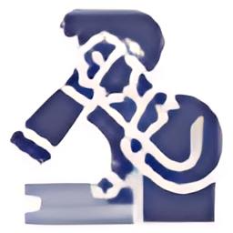 Abstract blue and white silhouette resembling a cyclist.
