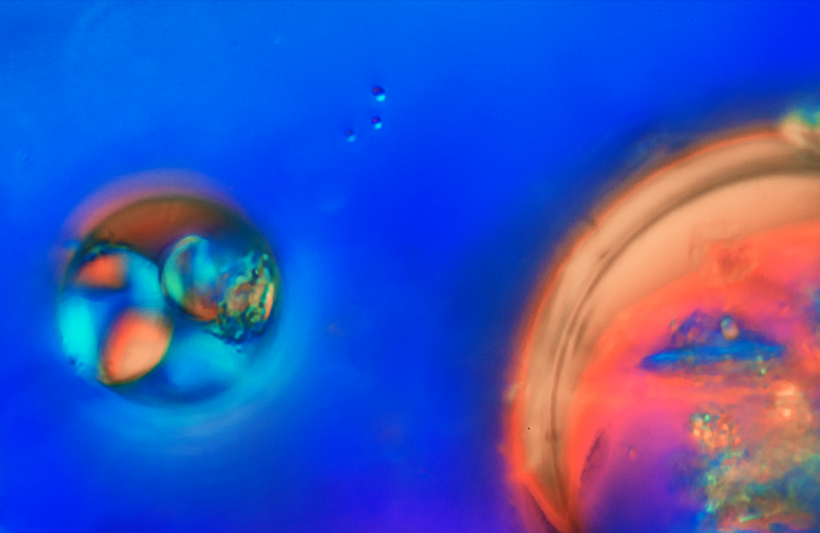 Abstract image with vibrant blue and red swirls.