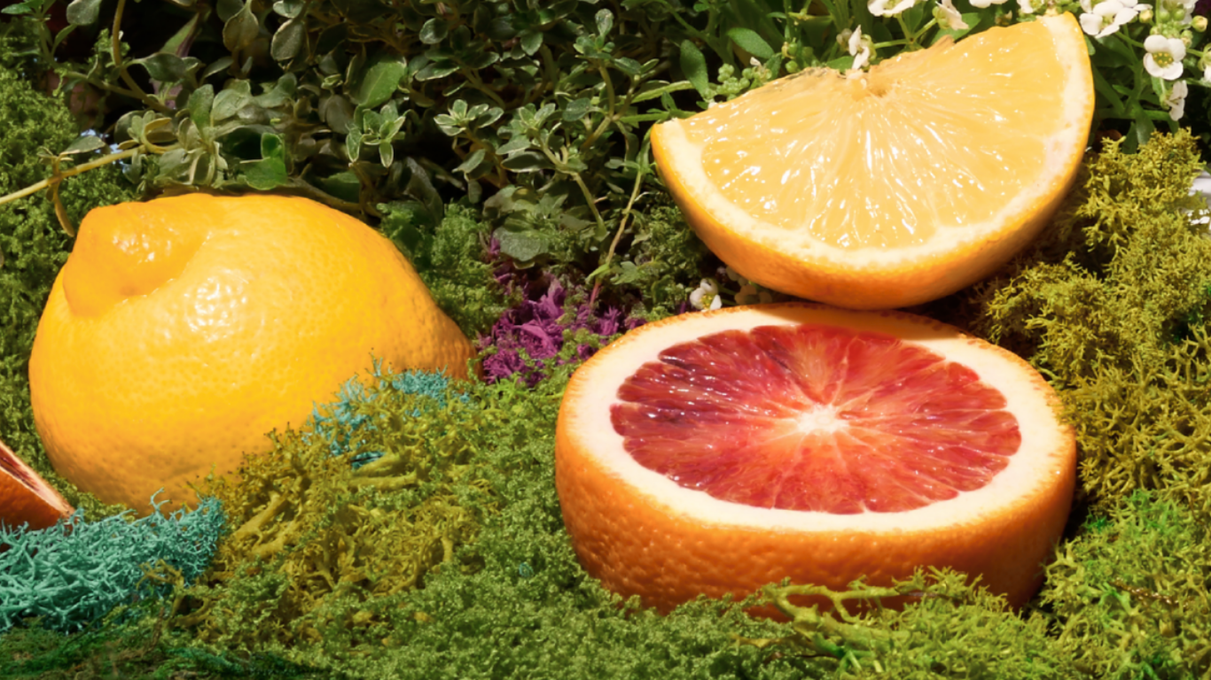 Lemons and oranges on a bed of colorful moss and small flowers.