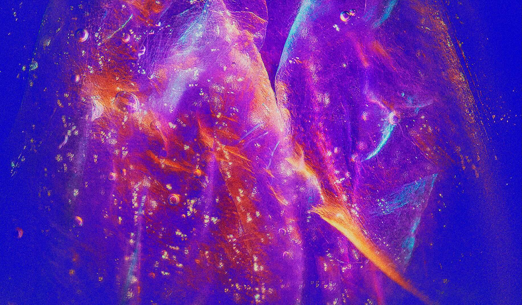 A vibrant, abstract image of textured purple and orange forms against a solid blue background.