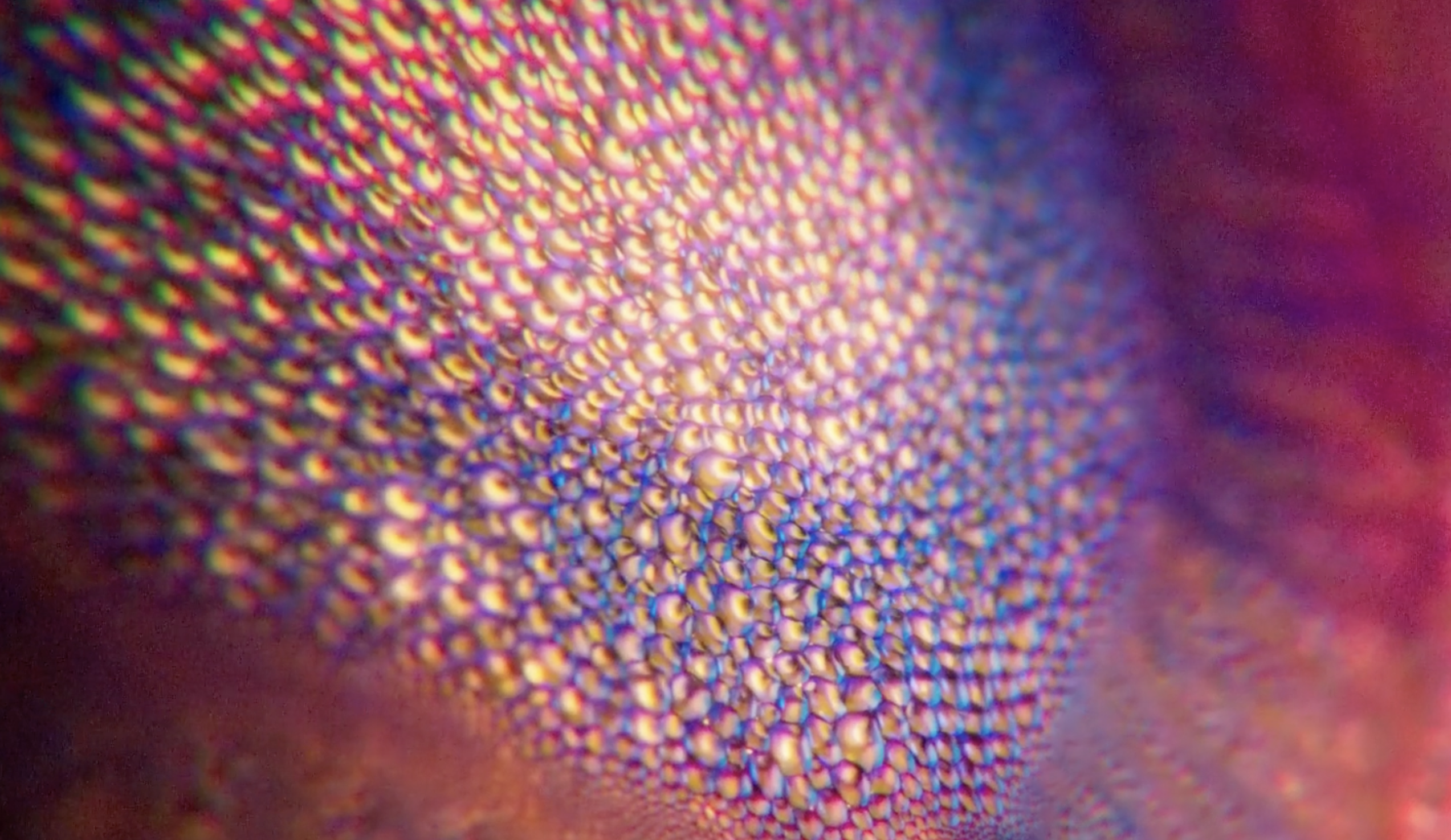 An abstract close-up of a bumpy, iridescent surface with pink, yellow, and blue light.