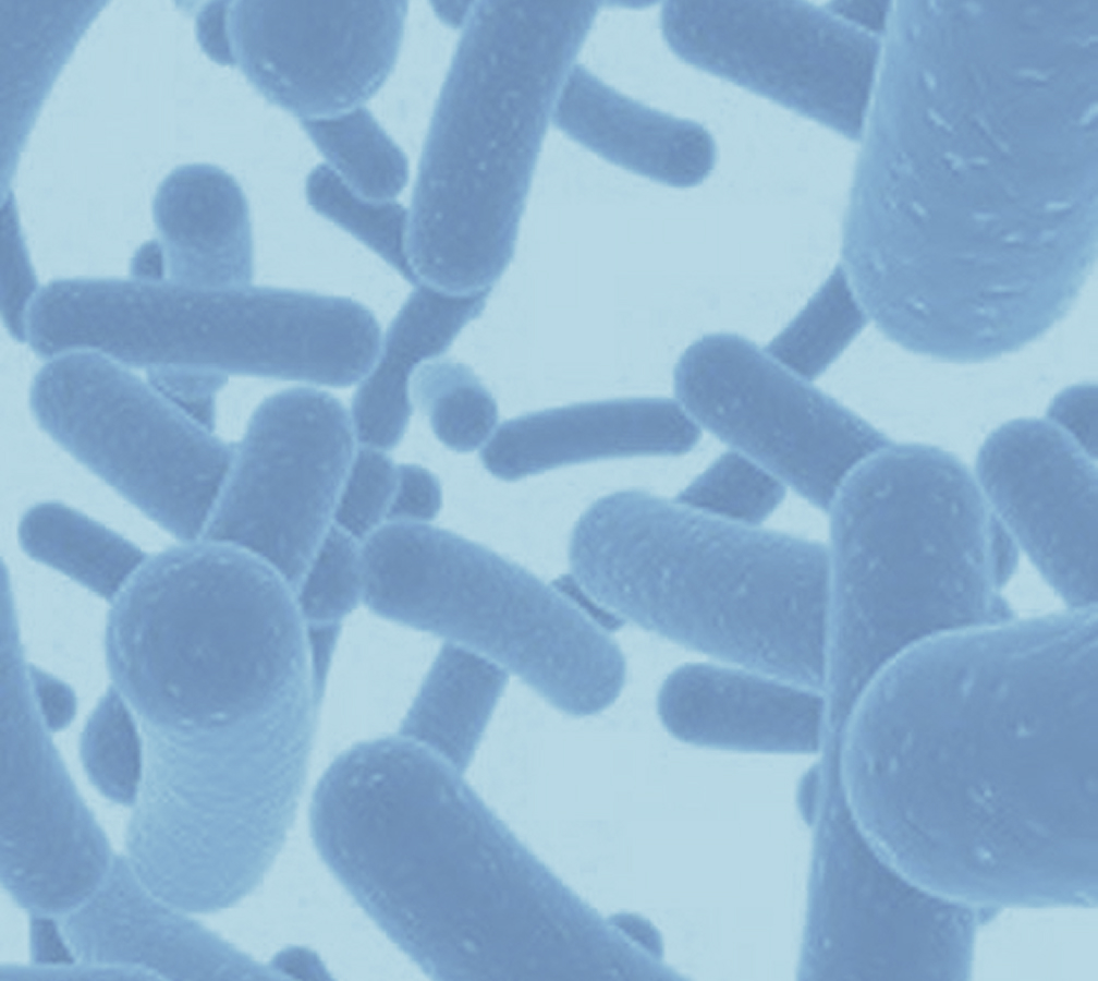 A blue-tinted, microscopic illustration of rod-shaped bacteria floating against a light blue background.
