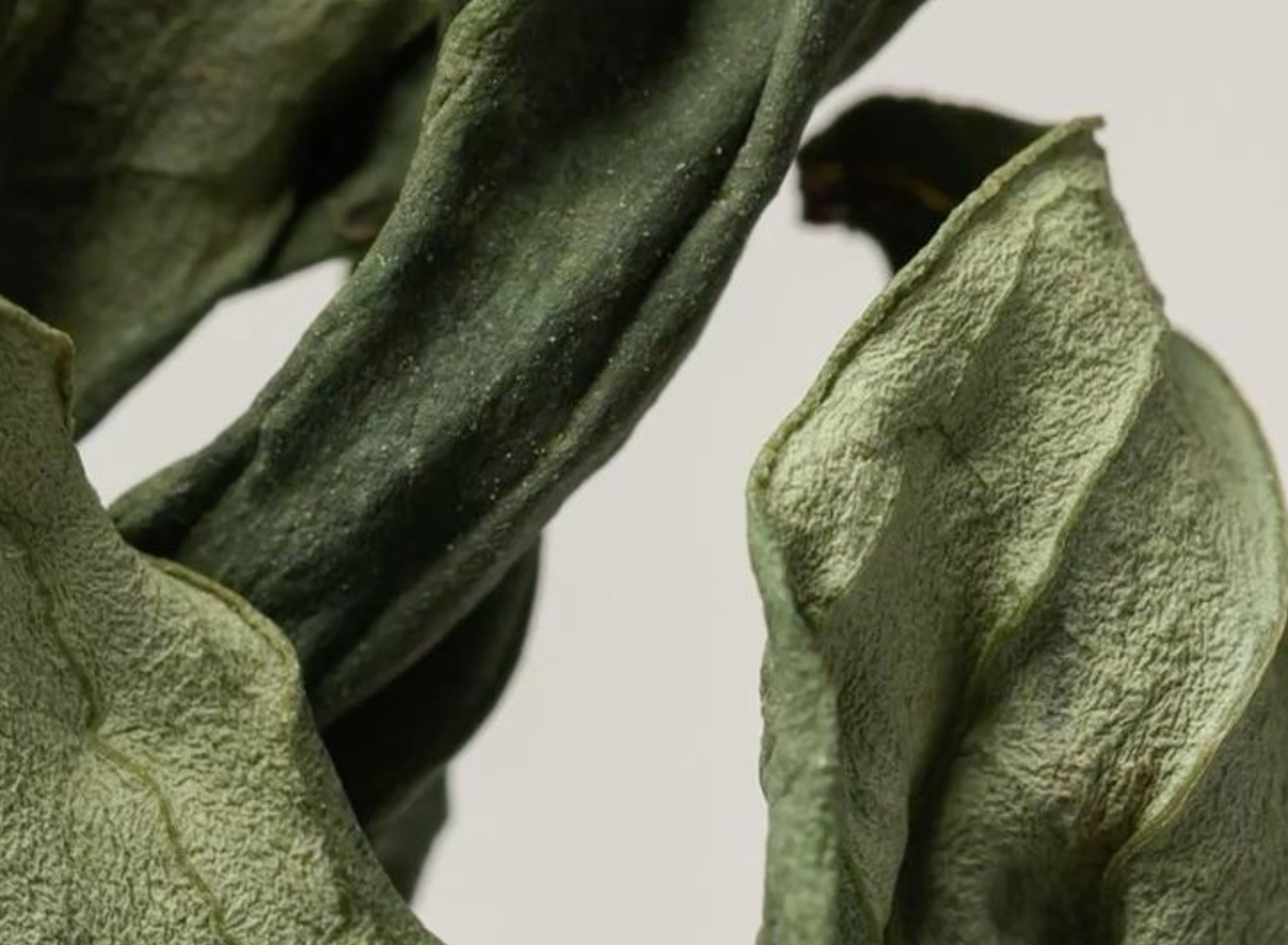 A close-up photograph of dry, twisted, and wrinkled green leaves against a plain, light-colored background.