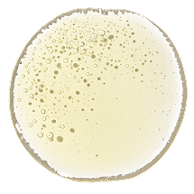 A microscopic-style illustration of green cells with golden droplets enclosed in transparent spheres against a gray background.