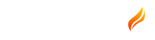 'Text 'BURNEX' in white font with a flame replacing the letter 'X'.'