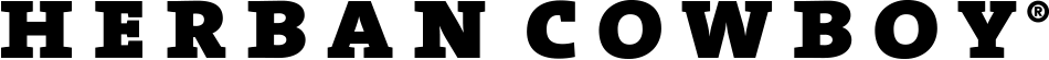Black and white image of a person playing a guitar.