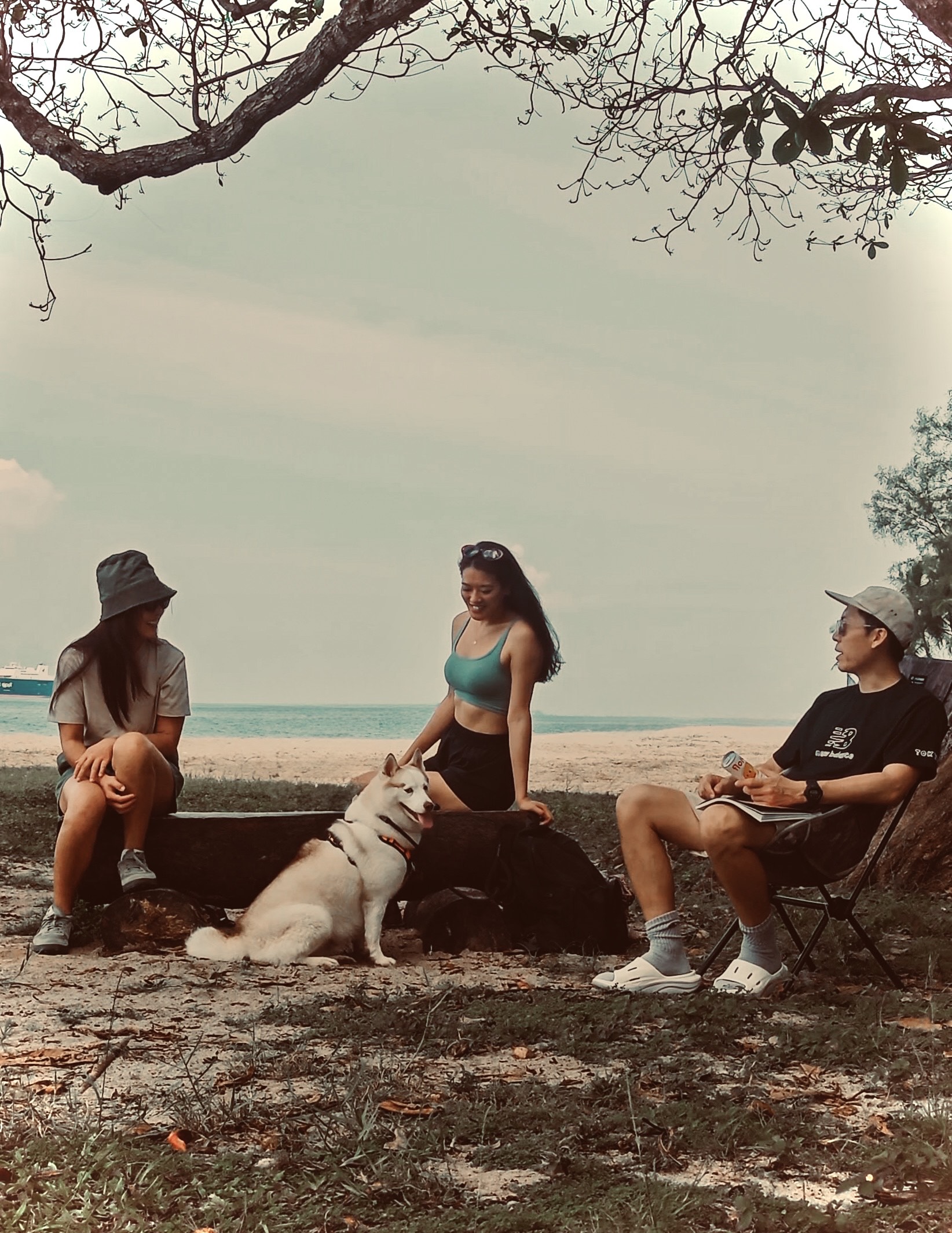 Three people and a husky dog sit together on a beach under a tree.