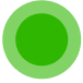 A green circle within a lighter green ring.