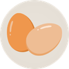 An illustration of two brown eggs inside a light gray circular frame.