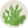 A stylized illustration of green seaweed within a light gray circular border.