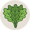 An illustration of a bunch of leafy green kale inside a light gray circle.