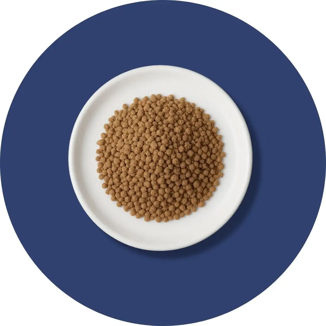 A white plate filled with brown pellets on a blue background.