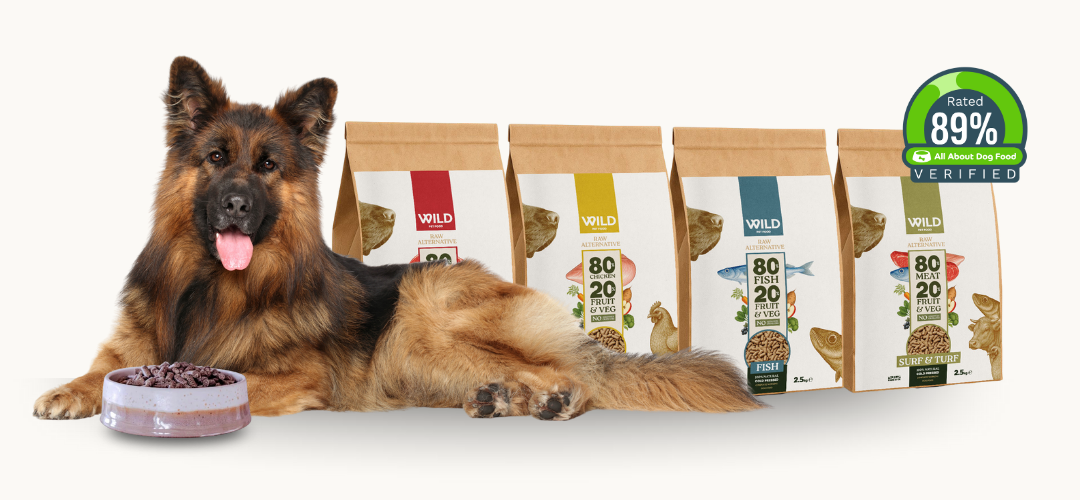 A German Shepherd lies next to a bowl of food and four bags of WILD brand dog food.