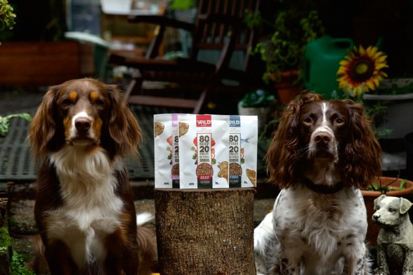 Two dogs sit beside three bags of pet food on a tree stump.