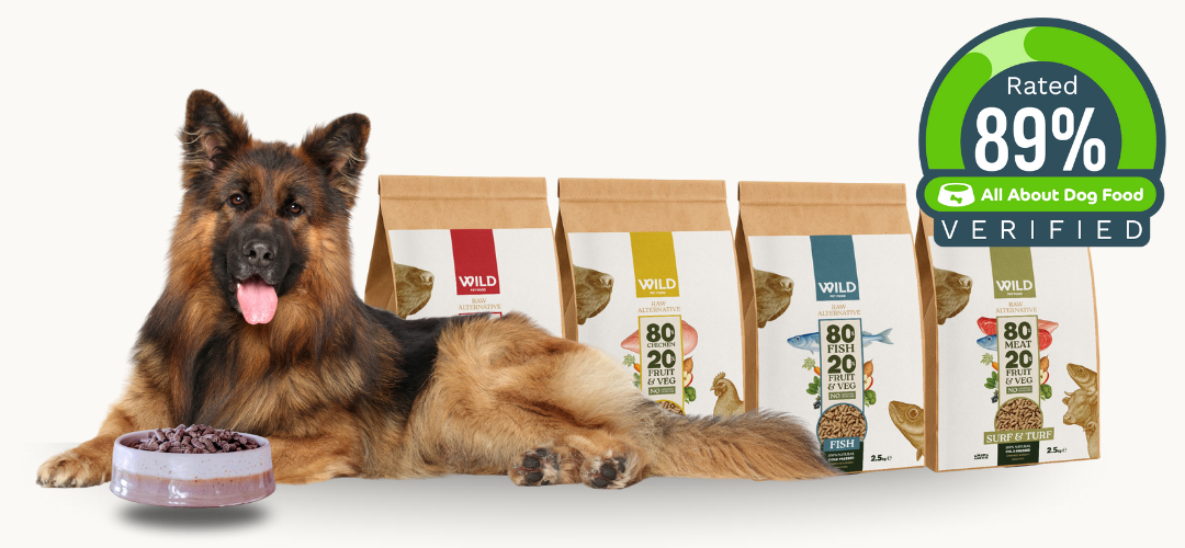 A German Shepherd dog lies next to a bowl of kibble and several bags of Wild dog food.