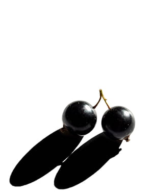 Two shiny black berries with stems and long shadows on a white background.